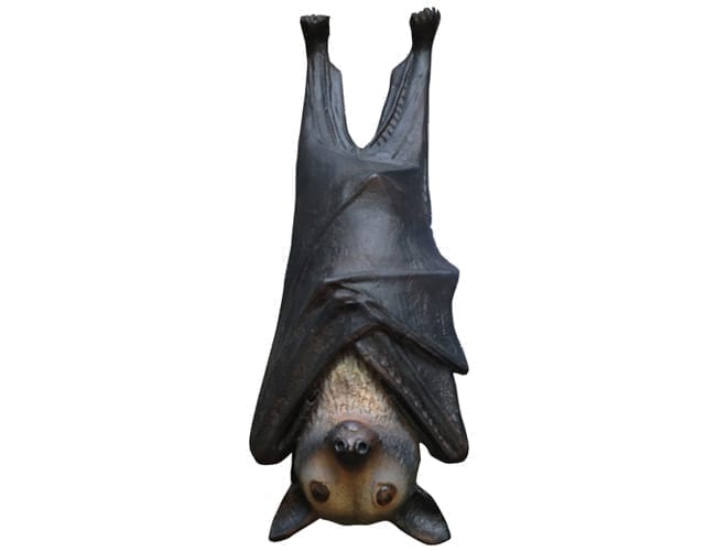 Fibreglass Bat Spectacled Flying Fox