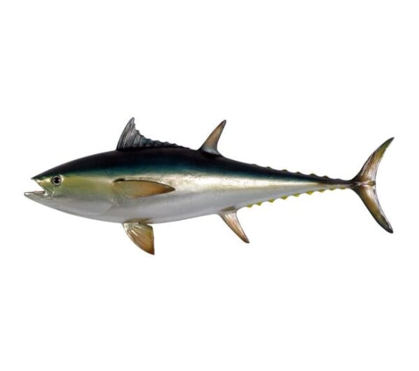 Fibreglass Bluefin Tuna Sculpture