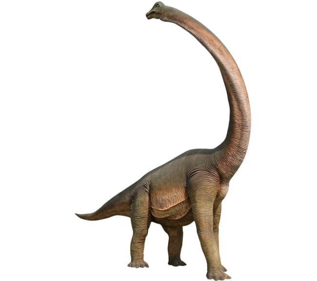 Fibreglass Brachiosaurus Dinosaur Statue
