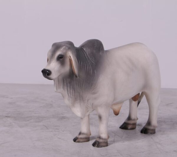 Fibreglass Brahman Bull Desktop Version