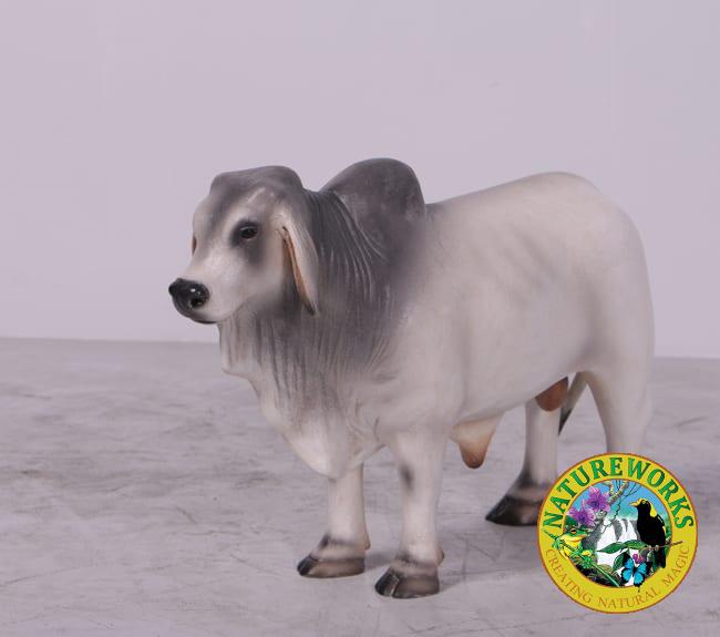 Fibreglass Brahman Bull Desktop Version