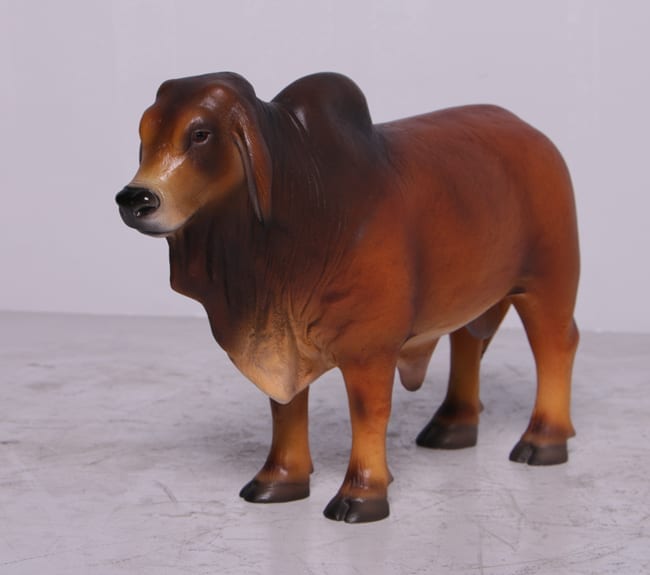 Fibreglass Brahman Bull Sculpture