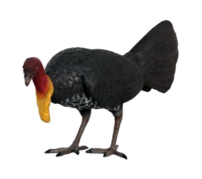 Fibreglass Bush Turkey Sculpture