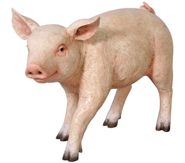 Fibreglass Chubby Piglet Statue