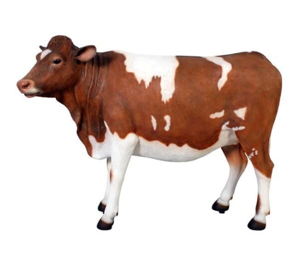 Fibreglass Cow Guernsey Statue