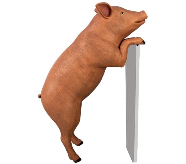 Fibreglass Curious Pig Sculpture Standing Pink