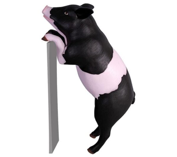 Fibreglass Curious Pig Statue Standing Pink Black