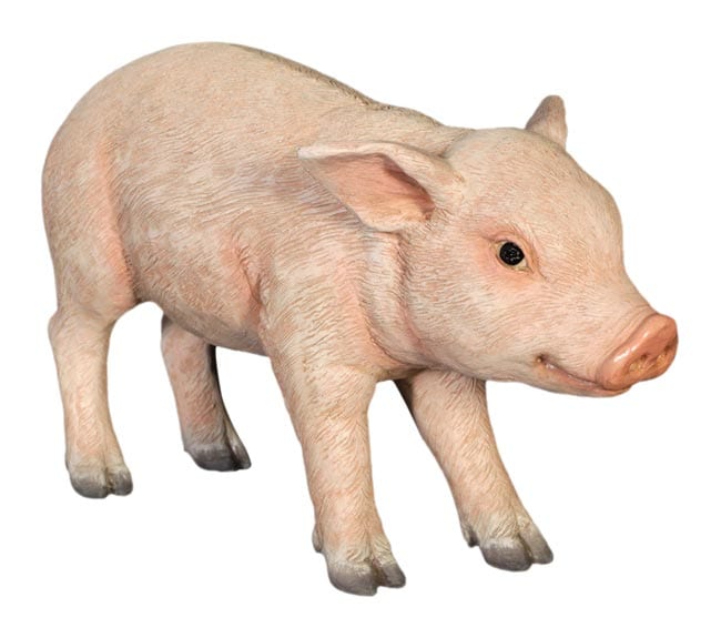 Fibreglass Farm Piglet Statue Standing