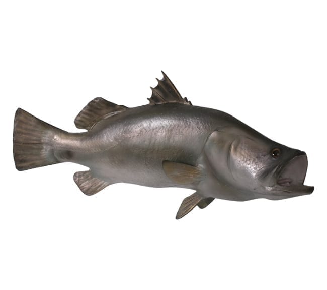 Fibreglass Fish Barramundi