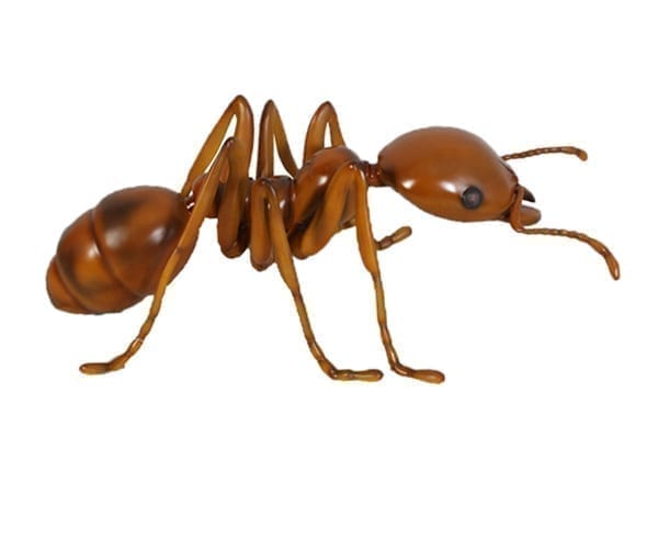 Fibreglass Giant Ant Brown