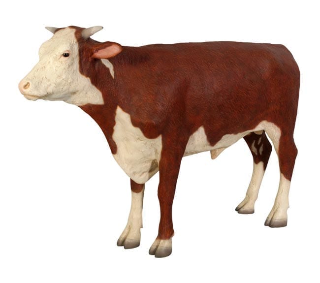 Natureworks Australia Fibreglass Hereford Steer Sculpture