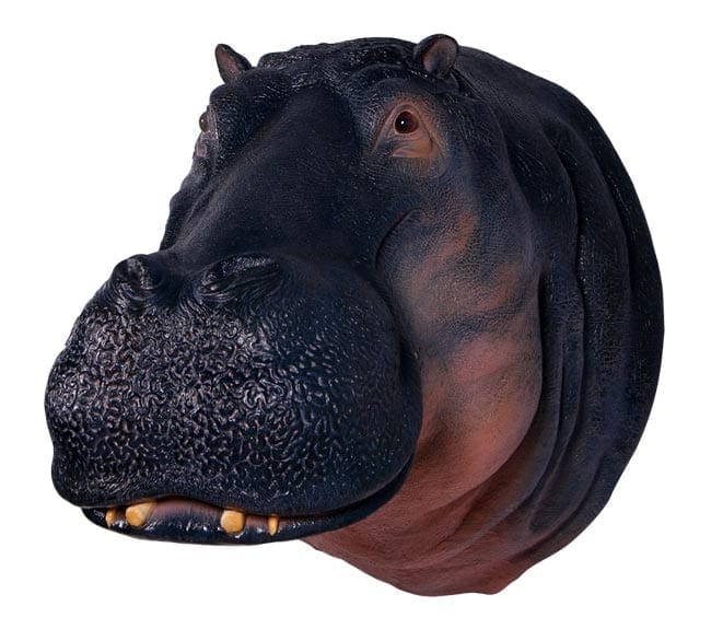 Fibreglass Hippotamus Sculpture