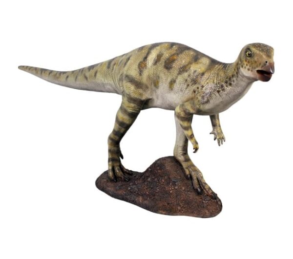 Fibreglass Hypsilophodon Dinosaur Statue