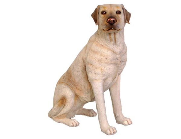 Fibreglass Life Size Dog Labrador Cream Sitting CR
