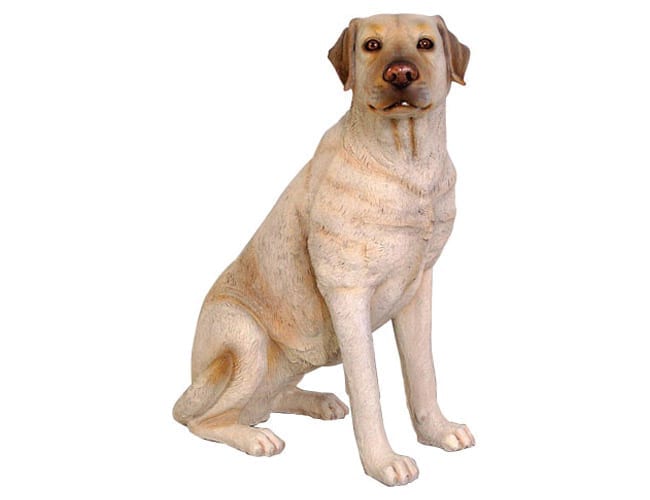 Fibreglass Life Size Dog Labrador Cream Sitting CR