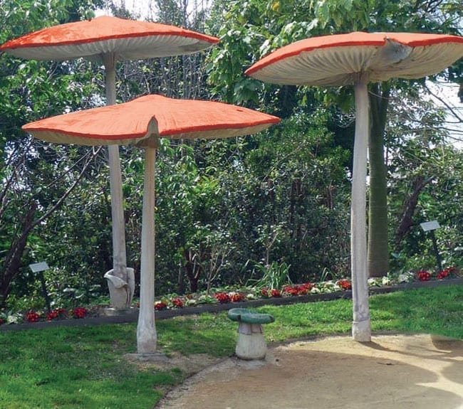 Fibreglass Mushroom Umbrella Set