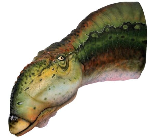 Fibreglass Muttaburrasaurus Dinosaur Head Wall Mount