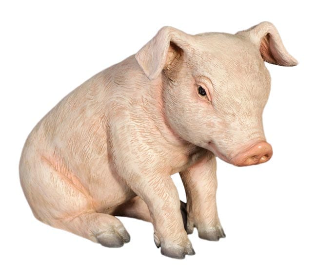 Fibreglass Newborn Peglet Sculpture Sitting