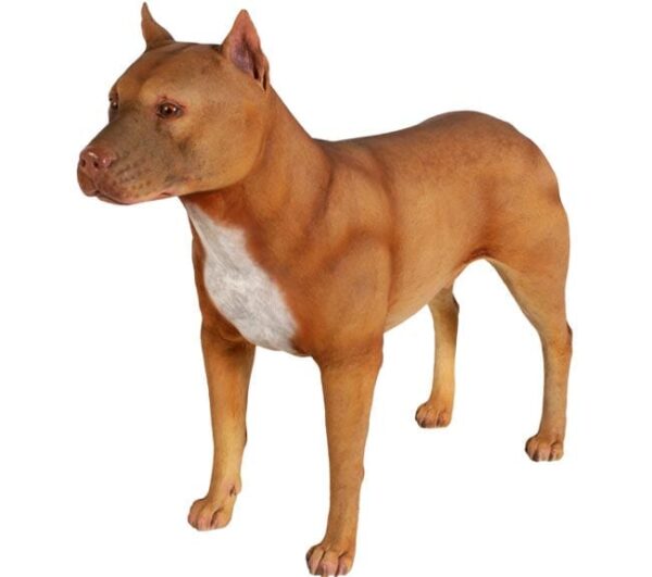 Fibreglass Pit Bull Dog Statue