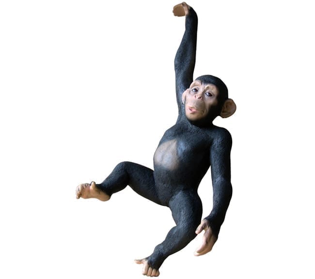 Fibreglass Primates Monkey Sculpture Hanging