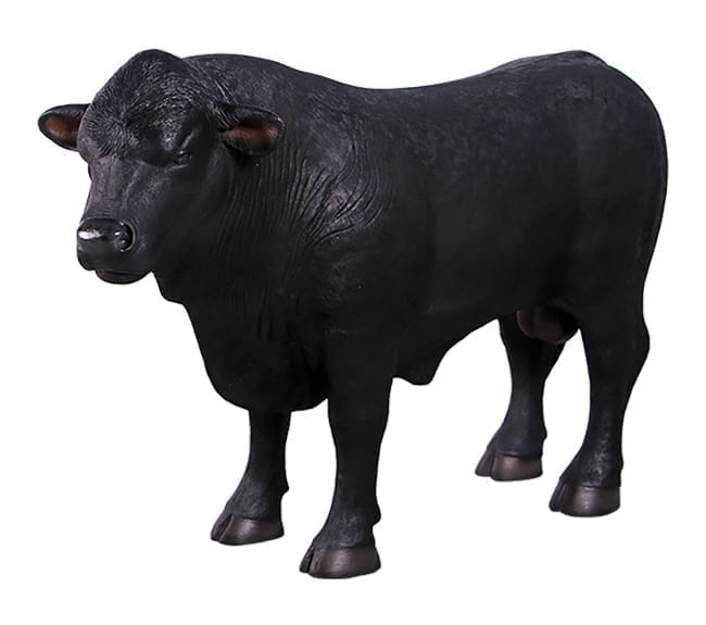 Fibreglass Realistic angus Bull Definitive Sculpture