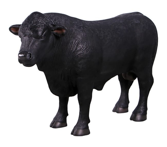 Fibreglass Realistic angus Bull Definitive Sculpture