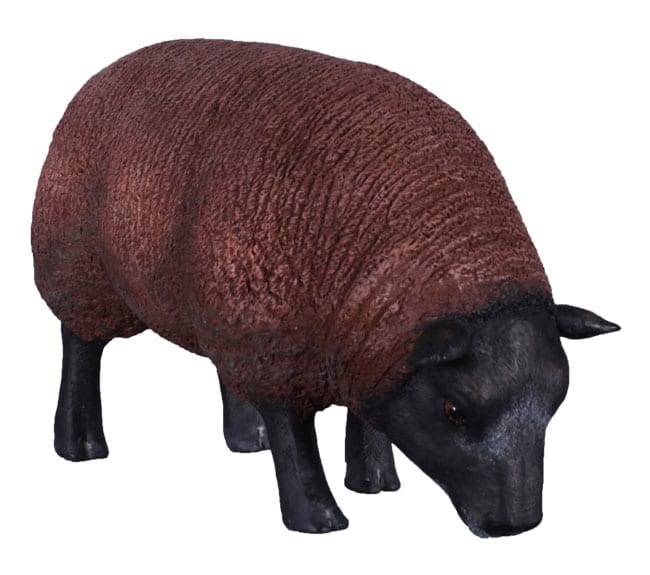Fibreglass Sheep Statue Texelaar Ewa