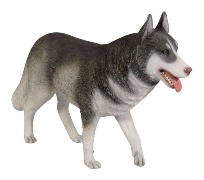 Fibreglass Siberian Husky Dog Replica