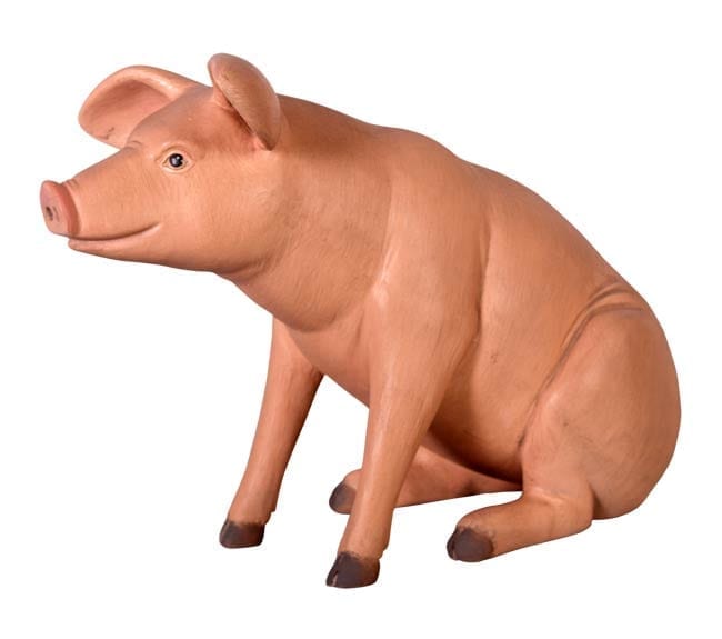 Fibreglass Small pig Statue Sitting