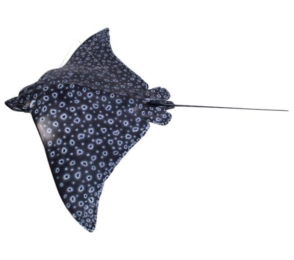 Fibreglass Spotted Eagle Ray