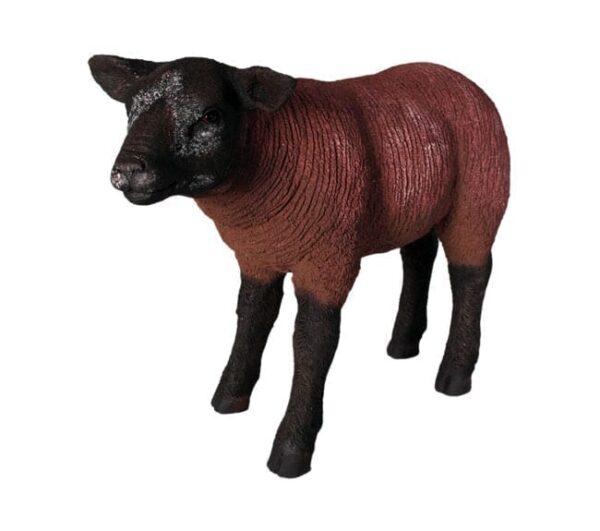 Fibreglass Texelaar Lamb Standing Brown BR
