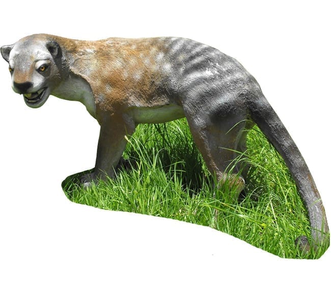 Fibreglass Thylacoleo