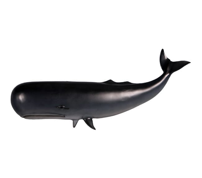 Fibreglass Whale Wall Decor