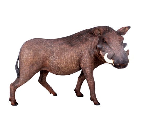 Fibreglass warthog african animal Sculpture