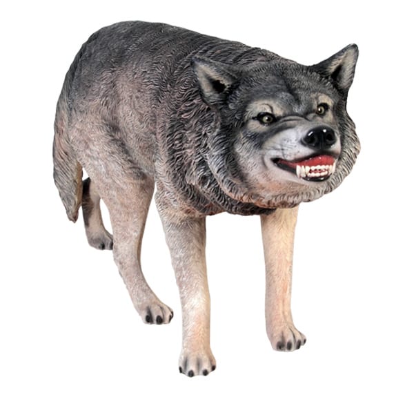 Fibreglass wolf sculpture