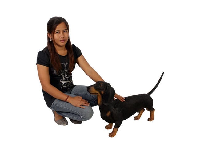 Fibrelgass Dog Dauchhound Black BL