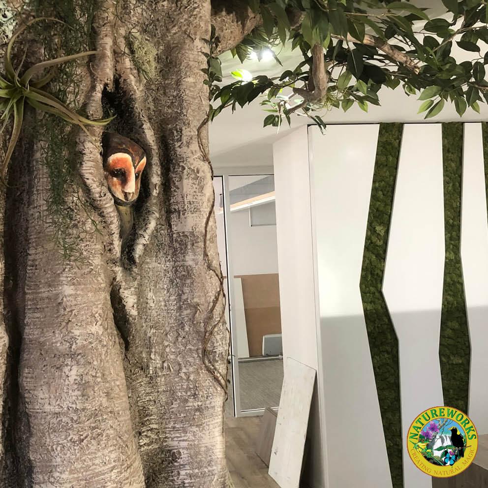 Natureworks Australia Fig tree showing close up of owl and vines angle view