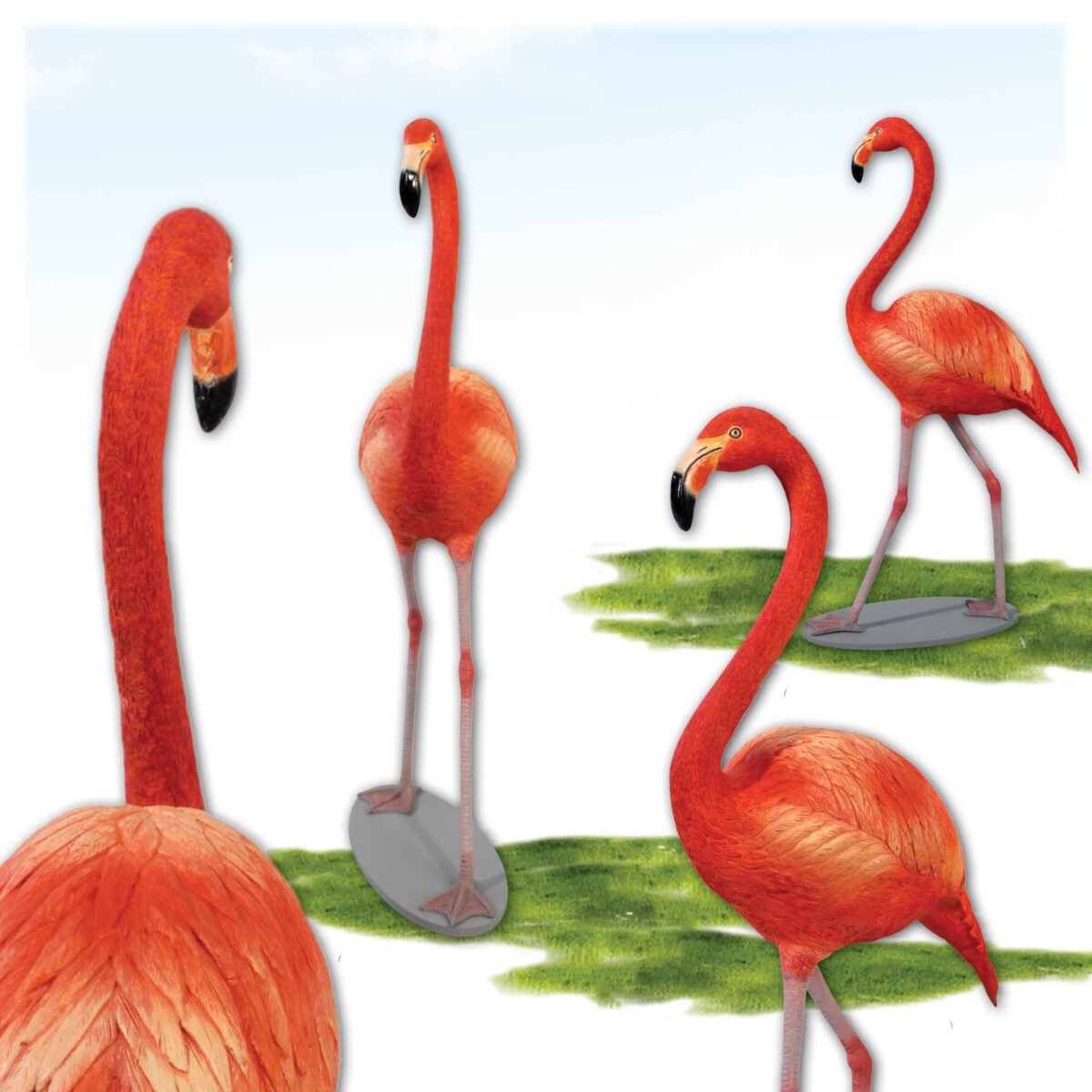 Natureworks Australia Flamingo - Orange - 110038 - Natural colour - showing various views