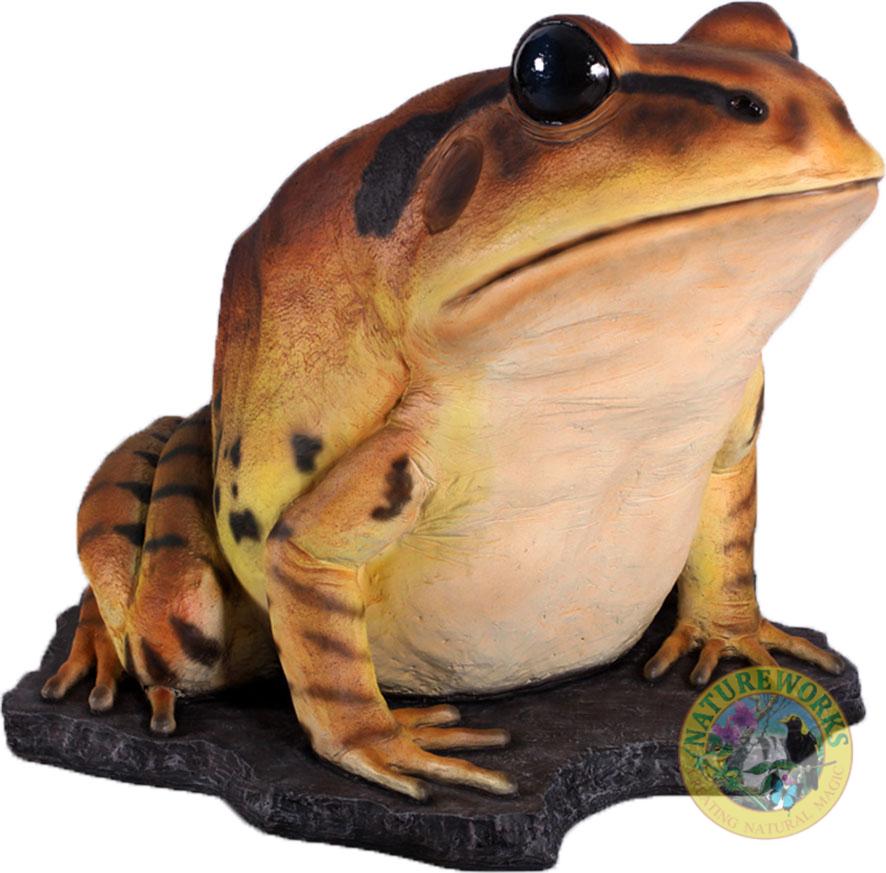 Natureworks Australia Great Barred Frog On Rock-Giant - Image 7