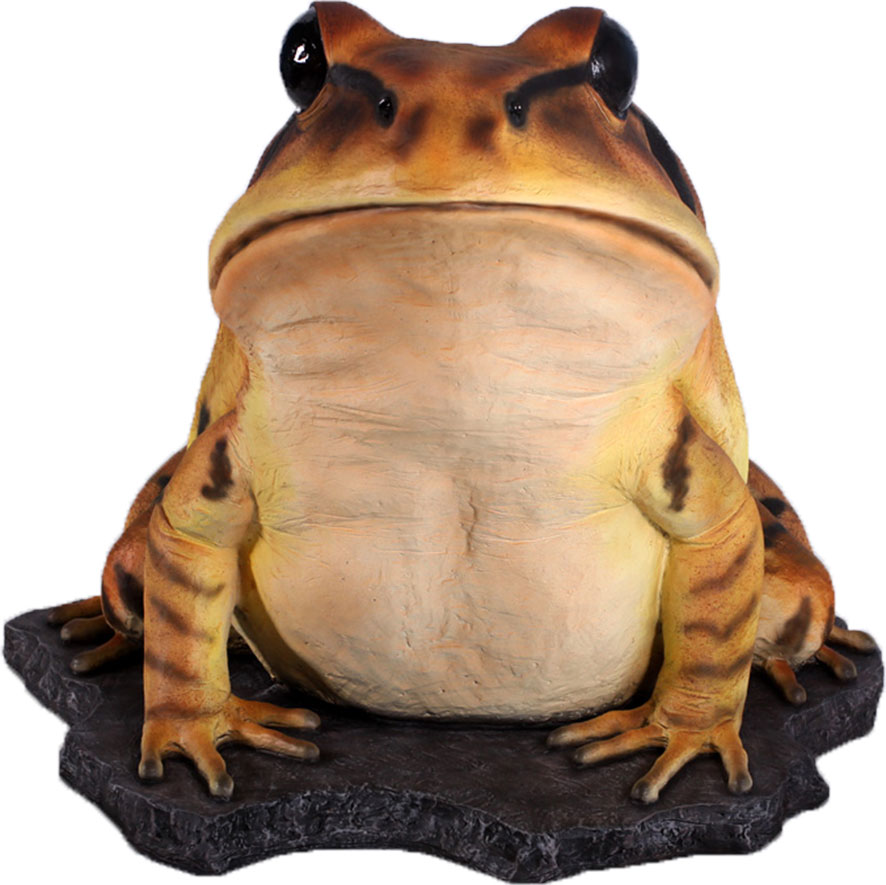 Natureworks Australia Great Barred Frog On Rock-Giant - Image 6