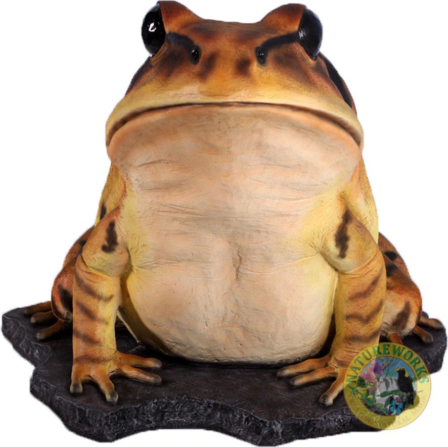 Natureworks Australia Great Barred Frog On Rock-Giant - Image 6