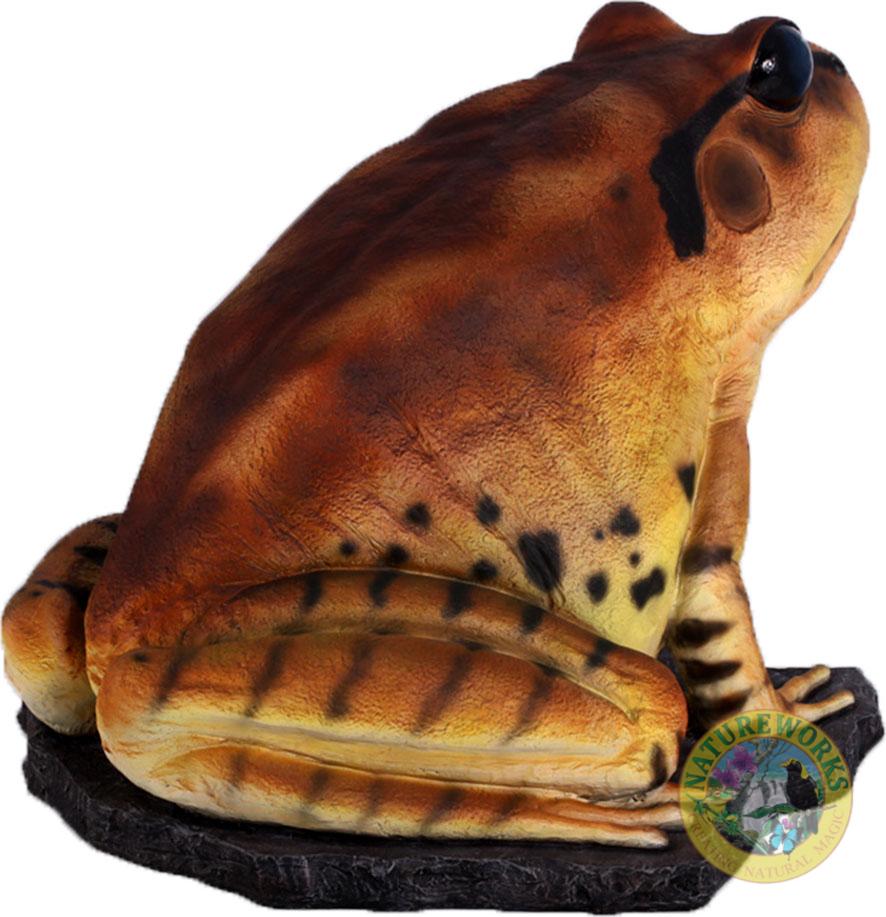 Natureworks Australia Great Barred Frog On Rock-Giant - Image 3