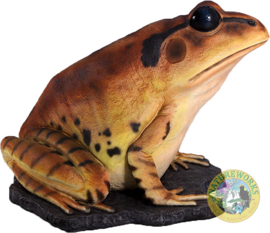 Natureworks Australia Great Barred Frog On Rock-Giant - Image 2