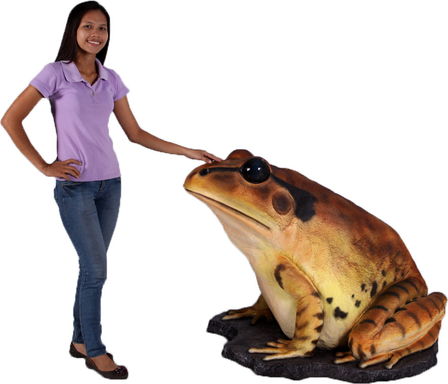 Natureworks Australia Great Barred Frog On Rock-Giant - Image 10