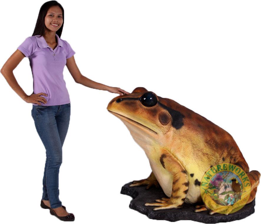 Natureworks Australia Great Barred Frog On Rock-Giant - Image 10