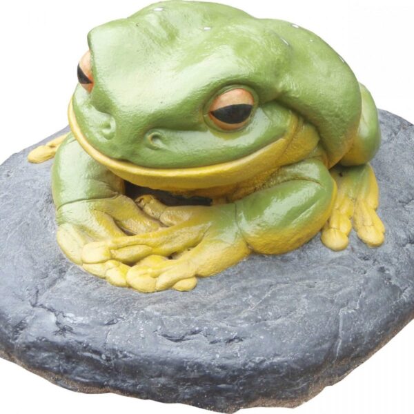 Frog Green Tree On Rock Giant ROCK   scaled scaled