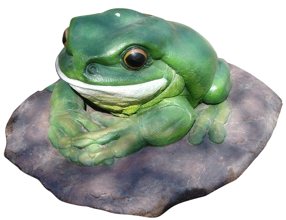 Natureworks Australia Green Tree Frog on Rock – Giant – 190012Rock - shown outside on rock