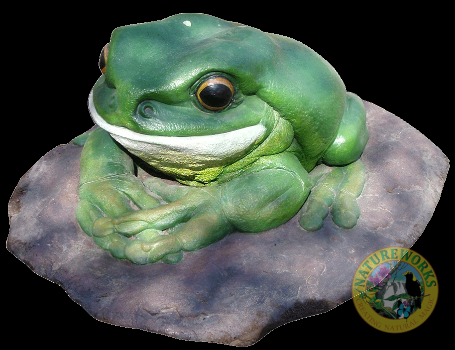 Natureworks Australia Green Tree Frog on Rock – Giant – 190012Rock - shown outside on rock