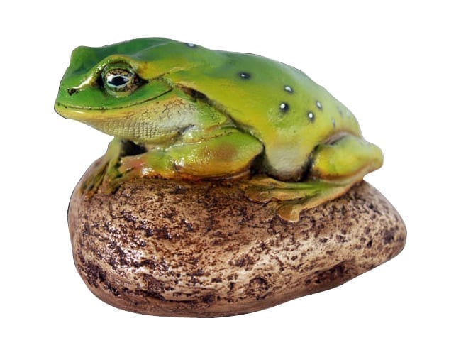 Frog Green Tree On Rock Small