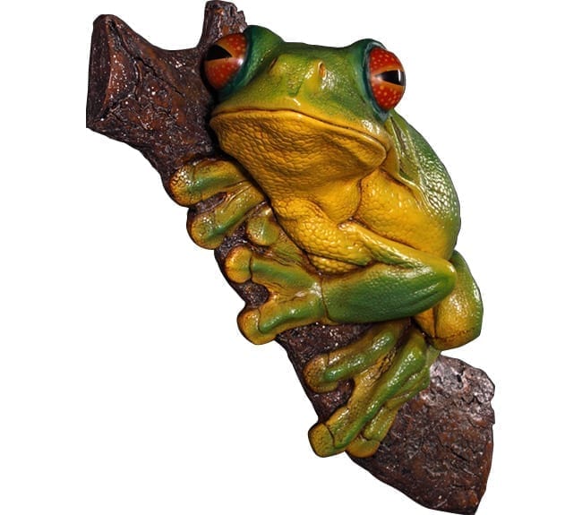 Frog Orange Eyed Tree Frog Wall Mount Front